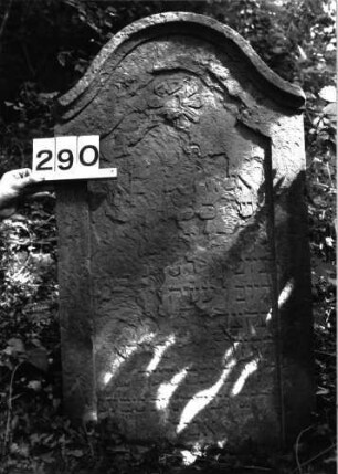 Grabstein 290 (Index: 99897646) Zustand: stark verwittert Maße HxBxT: 104x59x10 cm: Grabstein 290