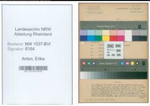 Entnazifizierung Erika Anton , geb. 06.02.1893 (Oberbuergermeister)