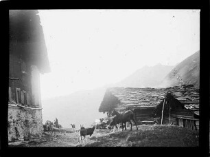 Im Engadin