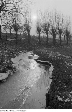 Vereister Flußlauf, im Hintergrund kahle Weiden