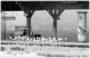 Bahnsteig mit zwei wartenden Menschen, davor Tulpen
