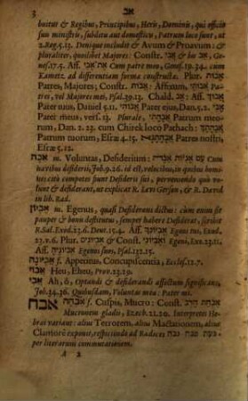 Johannis Buxtorfi Lexicon Hebraicum Et Chaldaicum : Complectens Omnes Voces, Tam Primas quàm Derivatas, quae in Sacris Bibliis, Hebraeâ, & ex parte Chaldaeâ linguâ scriptis, extant ... ; Acceßit Lexicon breve Rabbinico-Philosophicum ... ; Cum Indice vocum Latino