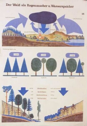 Der Wald als Regenmacher u. Wasserspeicher