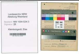 Entnazifizierung Else Kleinbongardt , geb. 06.07.1900 (Drogistin)