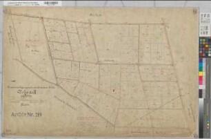 Epe, Gronau (Gronau), Alstätte (Ahaus), Wessum (Heek), Zusammenlegung des Amtsvenns, Bl.4 Urkarte II Epe Flur 20