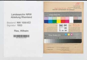 Entnazifizierung Wilhelm Ries, geb. 08.06.1902 (Chemiker)