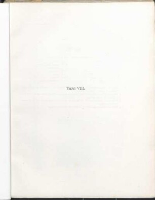Tafel VIII.
