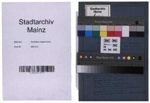 Zur Geschichte der Musikpflege in Mainz, Förderung des musikalischen Lebens