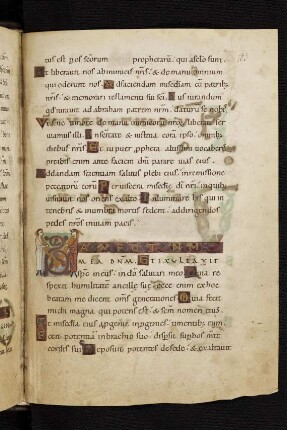 Canticum Mariae virginis