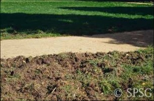 Potsdam, Park Sacrow, Verteilung von Kulturboden und geschreddertem Gehölzmaterials nahe der Fährstelle.
