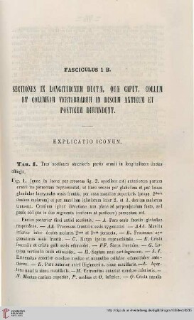 Fasciculus 1B: Sectiones in longitudinem ductae, quae caput, collum et columnam vertabrarum in discum anticum et posticum diffindunt