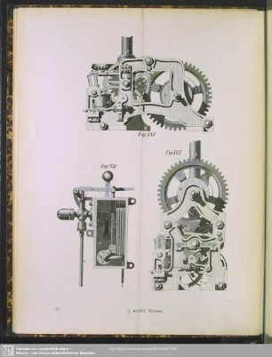 Fig. XXI - Fig. XXIII