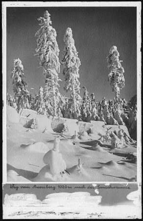 Auersberg. Weg vom Auersberg 1020m nach der Sauschwemme