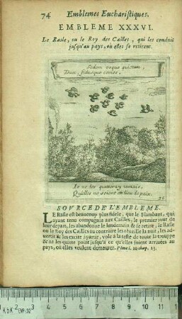 Embleme XXXVI. Le Rasle, ou le Roy des Cailles, qui les conduit jusqu'au pays, où elles se retirent.