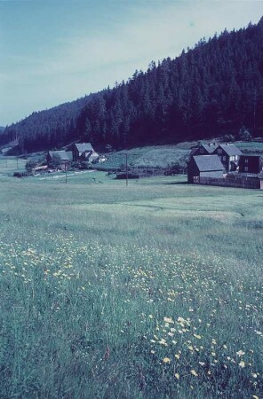 Thüringen. Schlagetal?