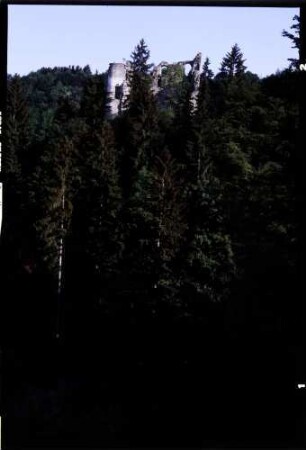 Herrenzimmern: Burg Herrenzimmern, seitlich, von der Straße