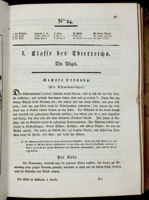 Sechste Ordnung. Die Schwimmvögel.