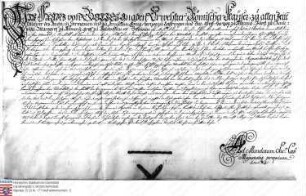 Kaiser Franz belehmt mit dem Handschuhsheimer Lehen Charlotte verw. Freiin v. Wambold als Vormunderin des Philipp Franz
