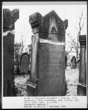 Grabstein von Mina Sternberg, geborene Tribus (gestorben 1903.03.04)