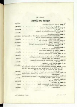 Tafel 43.