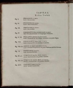 Tabula I. [bis] Tabula C. [siehe römische Paginierung]