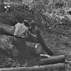 Waldarbeiter im Hochwald. : Lěsni dźěłaćerjo we wysokolěsu.