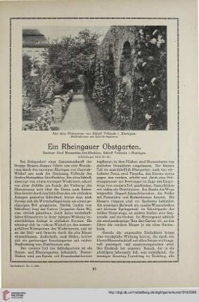 31: Ein Rheingauer Obstgarten : Besitzer Graf Matuschka-Greiffenklau, Schloß Vollrads i. Rheingau