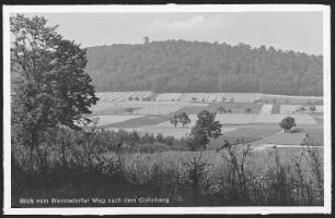 Collm. Collmberg vom Wermsdorfer Weg