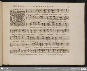 XIV. Cantate Domino canticum novum