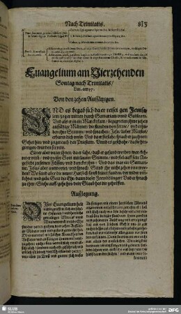 Evangelium am Vierzehenden Sontag nach Trinitatis, Luc. am 17.