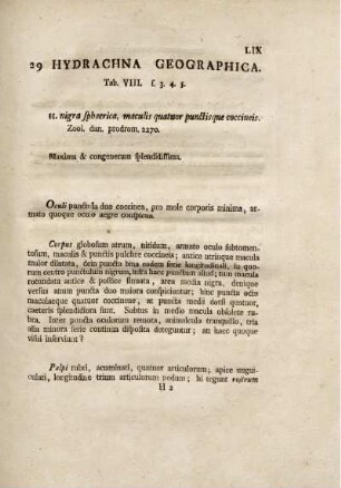 29. Hydrachna Geographica.