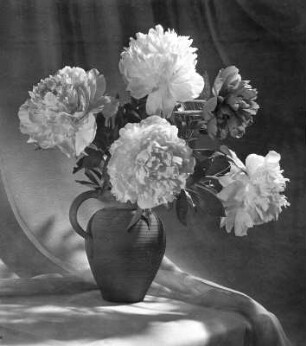 Vase mit Blumen