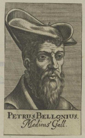 Bildnis des Petrus Bellonius