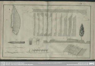 Tab. III. Fig. 34-45
