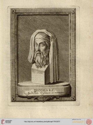 XV. Diogenes