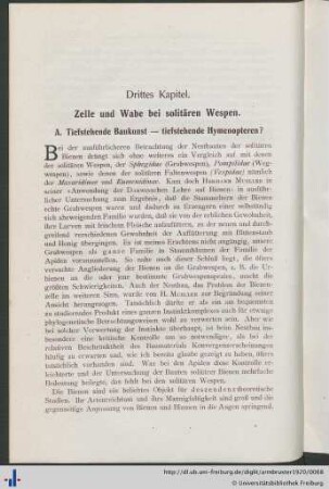 Drittes Kapitel. Zelle und Wabe bei solitären Wespen.