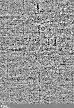 Lilienschild / Buchstaben IESV = S.5/6