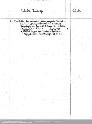 Scholz, Rudolf (Scholtz)