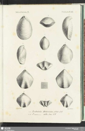 Pl. 510