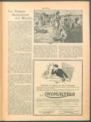 Los primeros agricultores del mundo