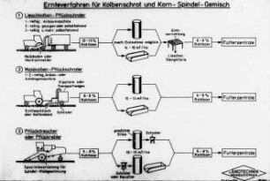 Ernteverfahren für Kolbenschrot und Korn-Spindel-Gemisch