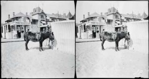 La Baule. Haupteingang zum Strand (Boulevard Hennecart Ecke Avenue de la Gare). Maultier am Strand