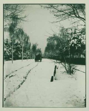 Winterliche Straße, vermutlich Ahornallee