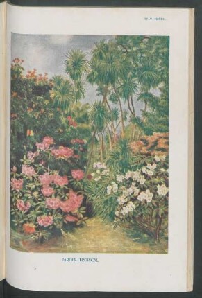 Jardim tropical