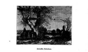Indianischer Todtenbaum