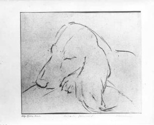 Ruhender Dachshund. Kohlezeichnung (1948; E. Richter). Dresden-Striesen, Borsbergstraße 11, Atelier der Künstlerin