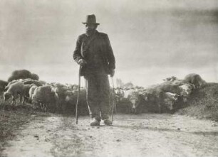 Heimwärts : Hirte mit Herde