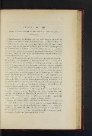Culture Du Riz.