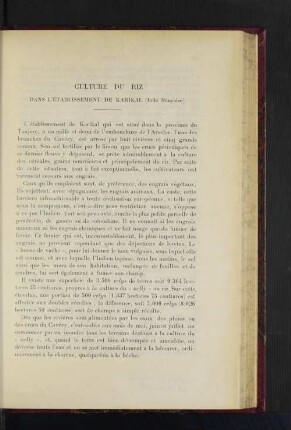 Culture Du Riz.