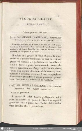 Seconda Classe. Fossili Salini